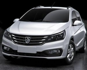 Baojun-310