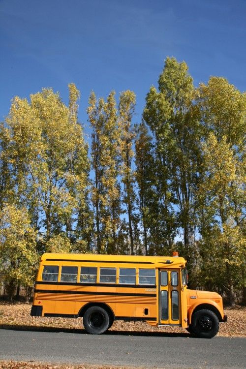 Компания Busfor будет развивать в России дешевые автобусные перевозки