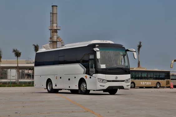Росстандарт запретил выпуск в обращение автобусов Golden Dragon CARRIER или D95